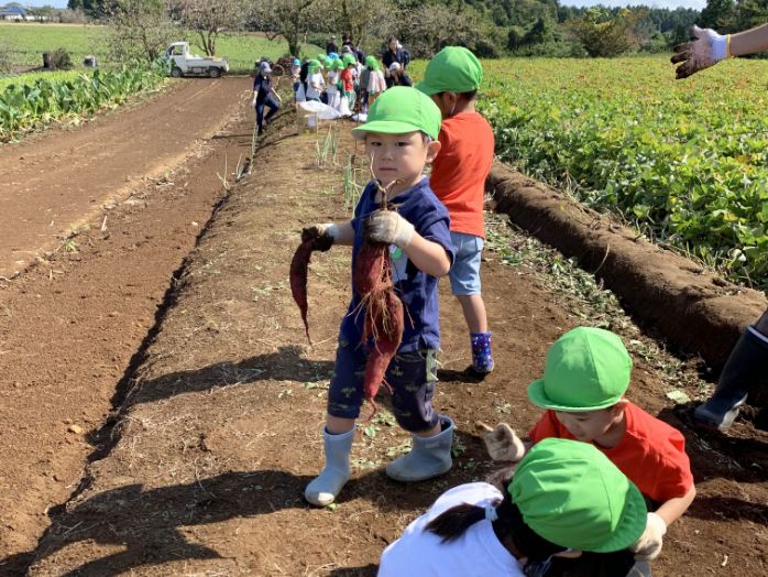 愛隣シャローム保育園 秋のイベント写真